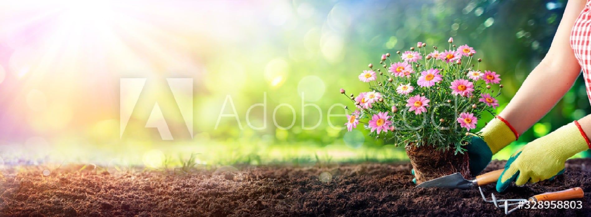 Produkte für Haus und Garten