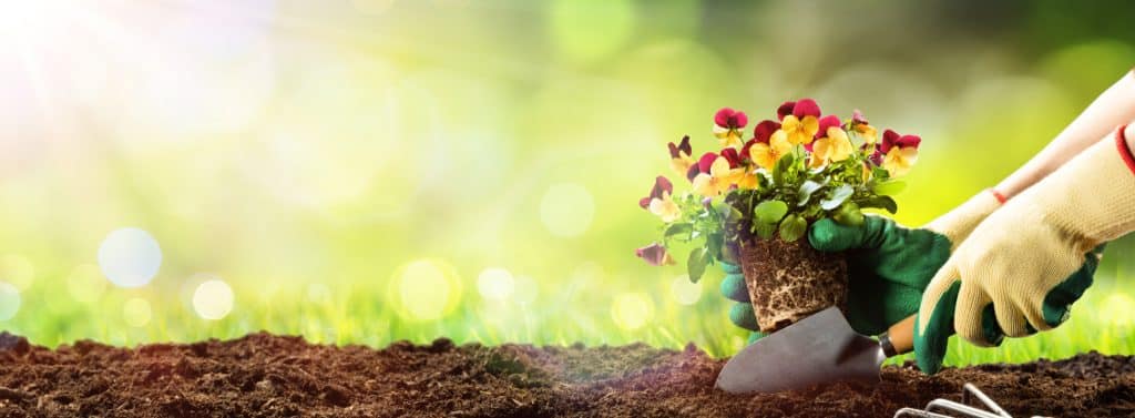 Artikel für Haus und Garten